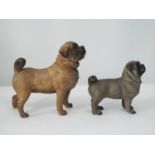 A late 19th century terracotta figure of a standing Pug, together with a smaller similar model, 18cm