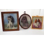A collection of three early 20th century miniature portraits all of Cavalier King Charles