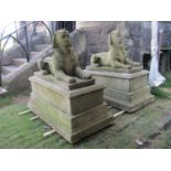 A pair of weathered cast composition stone sphinx raised on stepped two sectional hollow