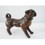 A late 19th century terracotta figure of a standing Pug with naturalistic painted finish, 20cm high