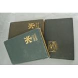 Two early 20th century photograph albums containing interesting family pictures including examples