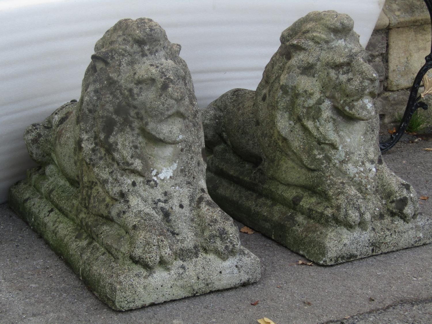 A pair of weathered hollow cast composition stone recumbent regal lions with defined features, 70 cm - Image 2 of 4