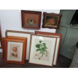 A collection of pictures and prints of fruit including a naïve style study in gouache of a basket of