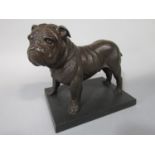 French bronzed resin study of a standing bulldog upon a black slate base, the collar inscribed Mack,