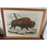 John A Ruthven (20th century) - American Bison, signed coloured limited edition print, 144/375, 65.5