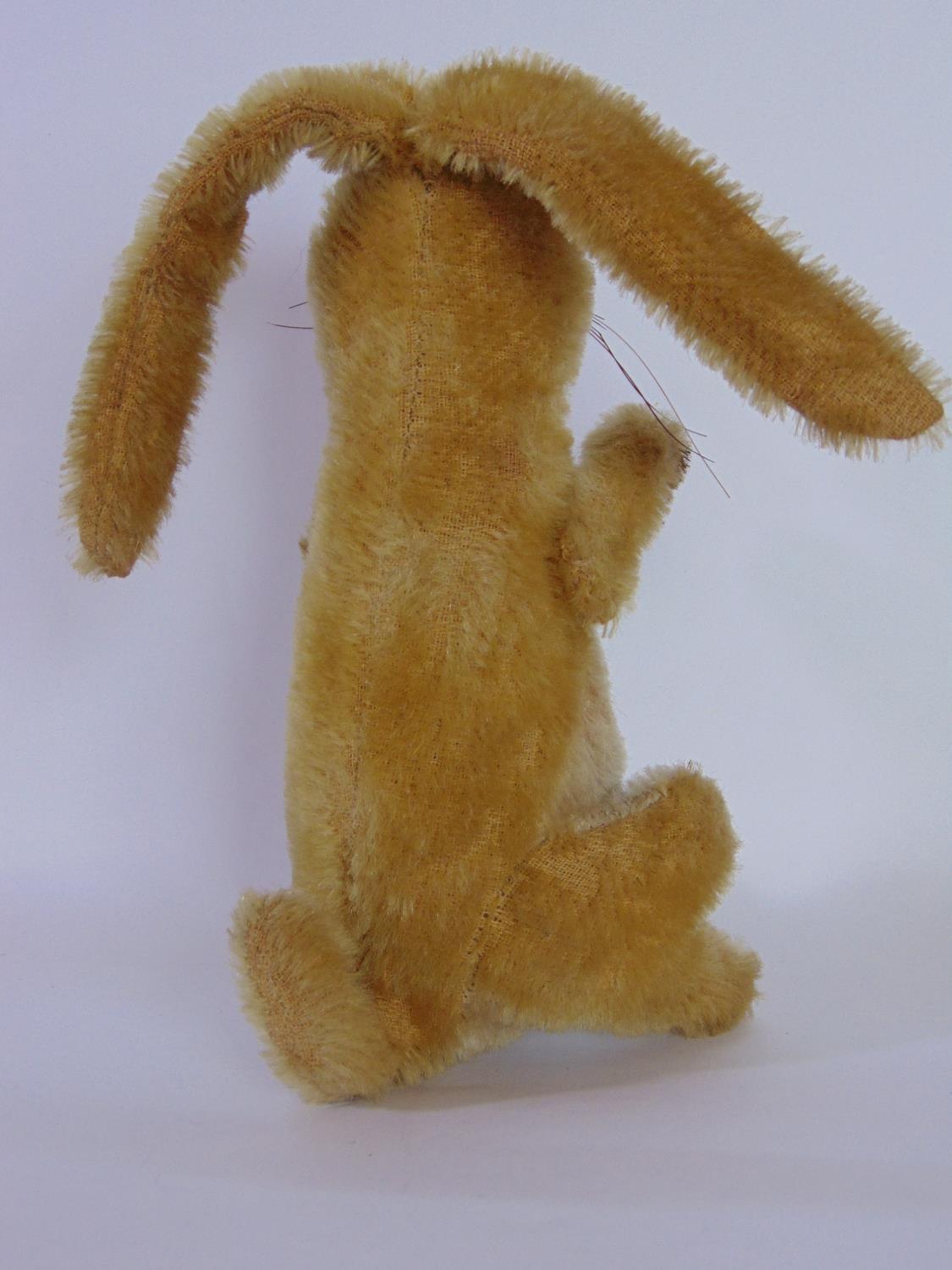 Vintage rabbit, (possibly Steiff but no pin), with glass eyes, golden fur, whiskers, articulating - Image 2 of 2