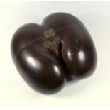 COCO DE MER NUT, CUT AND HINGED AS A BOX ( 22.5 X 23.5 CM)