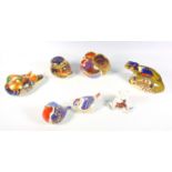 A COLLECTION OF SIX ROYAL CROWN DERBY PAPERWEIGHTS TO INCLUDE A CHAMELEON, WREN (GOLD BUTTONS),