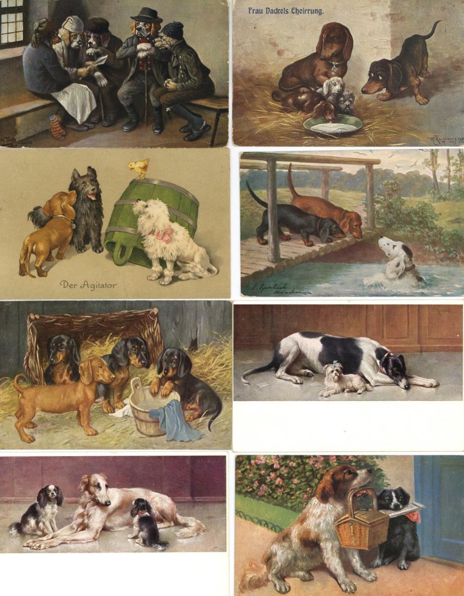 Tiere,Säugetiere,HundeHunde u.a. auch einige Dackel circa 130 Ansichtskarten I-II- - -23.80 %