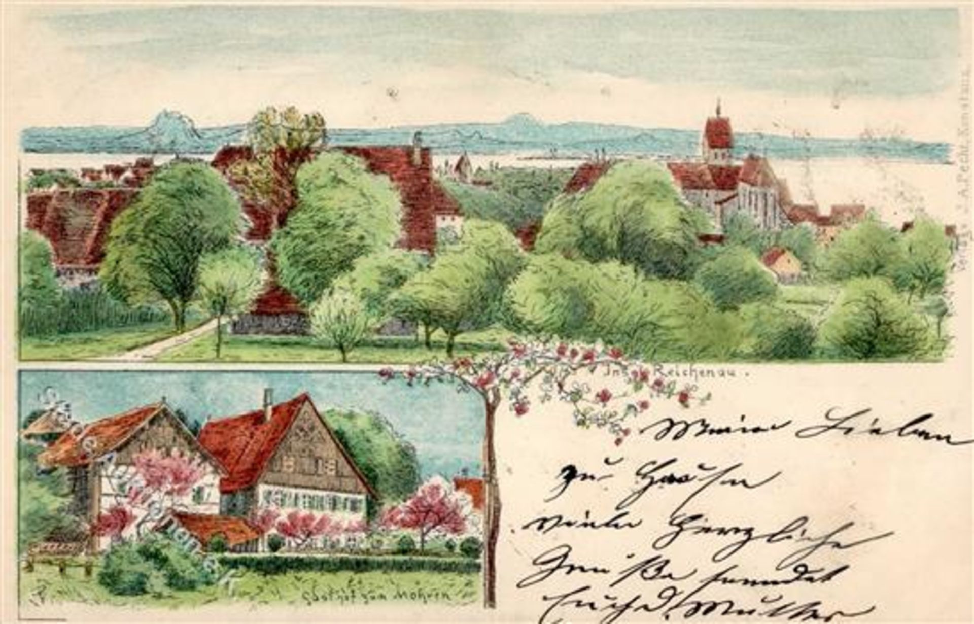 Reichenau (7752) Gasthaus zum Mohren Künstlerkarte 1899 I-Dieses Los wird in einer online-Auktion