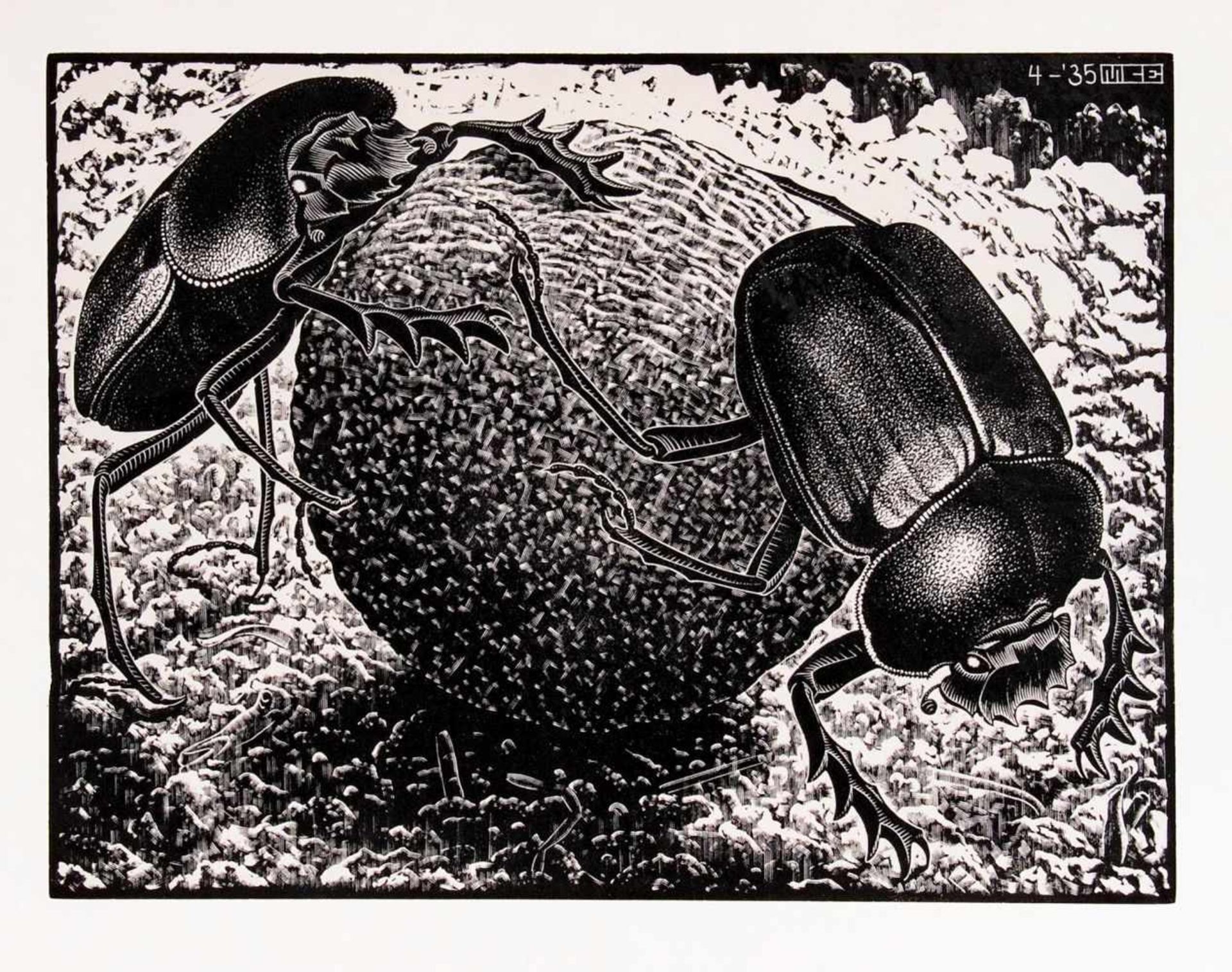 Maurits Cornelis Escher(Leeuwarden 1898 - Hilversum 1972)Vier Holzschnitte und eine VisitenkarteVier