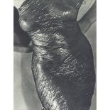 MAN RAY - Anatomy - Original vintage photogravure