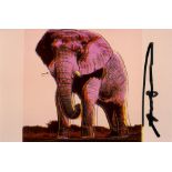 ANDY WARHOL - African Elephant - Original color analogue photograph