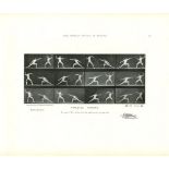 EADWEARD MUYBRIDGE - Athletes: Fencing - Original photomezzotint & letterpress