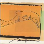 ANDY WARHOL - La Plata River Dolphin - Color offset lithograph