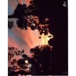 SHARI BRUNTON - Sunset in the Park, Arizona - Color digital photograph