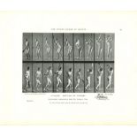 EADWEARD MUYBRIDGE - Athlete: Batting at Cricket - Original photomezzotint & letterpress