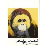 ANDY WARHOL - Orangutan - Color offset lithograph