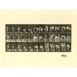 EADWEARD MUYBRIDGE - Woman Throwing a Shawl on Her Shoulders - Original photogravure