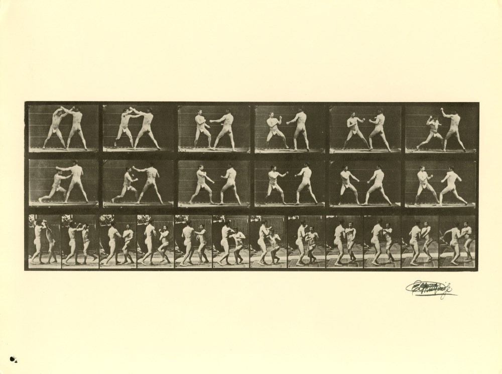 EADWEARD MUYBRIDGE - Men Boxing - Original photogravure