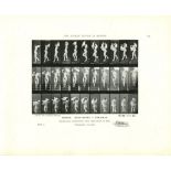 EADWEARD MUYBRIDGE - Woman: Descending a Stairway - Original photomezzotint & letterpress