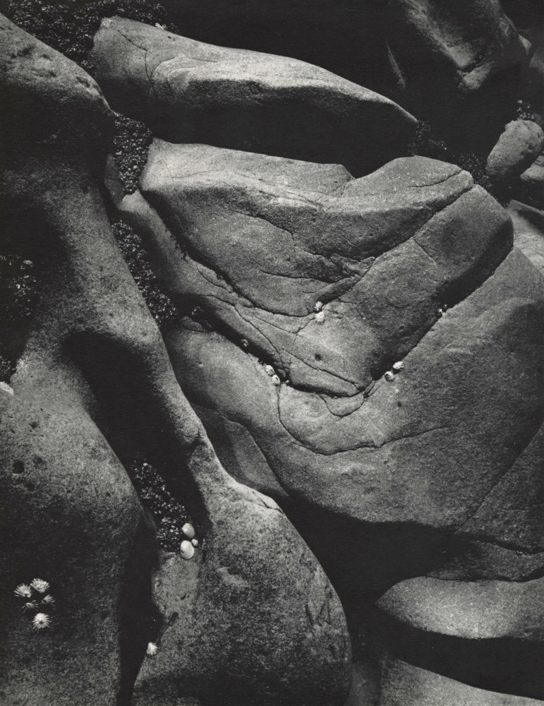 ANSEL ADAMS - Rocks and Limpets, Point Lobos, California - Original vintage photogravure