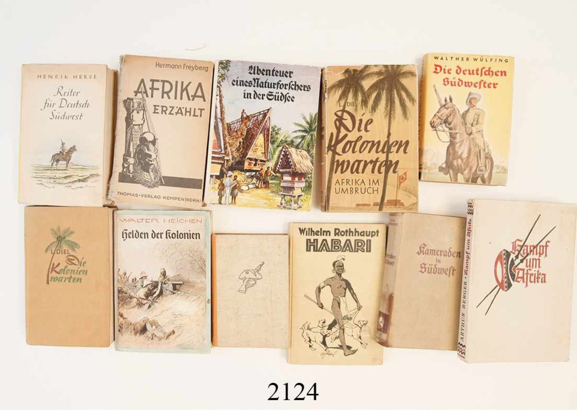 Konvolut Bücher Thema Afrika/Kolonien<