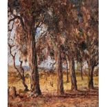 Pieter Willem Frederick Wenning (South African 1873-1921) BLUEGUMS, PRETORIA signed, titled on the