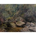 Cecil Thornley Stewart (South African 1881-1967) THE POOL IN THE GLEN AT PORT ST. JOHNS signed;