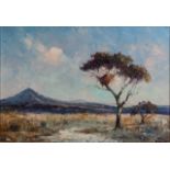 Christopher Tugwell (South African 1938-) TREE WITH DISTANT PEAK signed oil on board 24,5 by 49,5cm