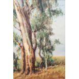 Guiseppe Catty (South African 20th Century-) BLUEGUMS I and BLUEGUMS II, two in lot each signed