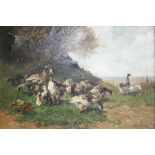 Dutch School ( 19th Century-) GEESE indistinctly signed oil on canvas 59,5 by 89cm