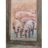 W*** M*** Deeb (South African 20th Century-) FOUR PIGS signed acrylic and pastel on canvas laid down