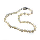 A STRAND OF FRESH WATER CULTURED SEED PEARLS 40cm in length, 9ct white gold clasp with three