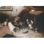 Follower of Armfield (British 19th Century-) DOGS, two in the lot signed oil on canvas each: 29 by