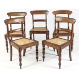 A SET OF FIVE CAPE STINKWOOD REGENCY CHAIRS