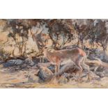 Johan Grobler (South African 1935-1992) STEENBOKKIES IN THE SHADE signed and dated 88, inscribed