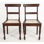 A PAIR OF CAPE REGENCY STINKWOOD CHAIRS