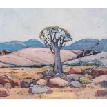 LANDSCAPE WITH QUIVER TREE