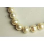 White Cultured Pearl Necklace, stamped 9ct white gold ball clasp,