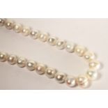 White Cultured Pearl Necklace, ranging from approximately 11.4mm - 16.3mm, stamped 9ct white gold