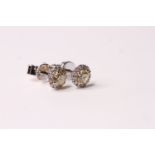 Pair 18ct white gold fancy yellow diamond halo studs, diamonds total approximately 0.50ct