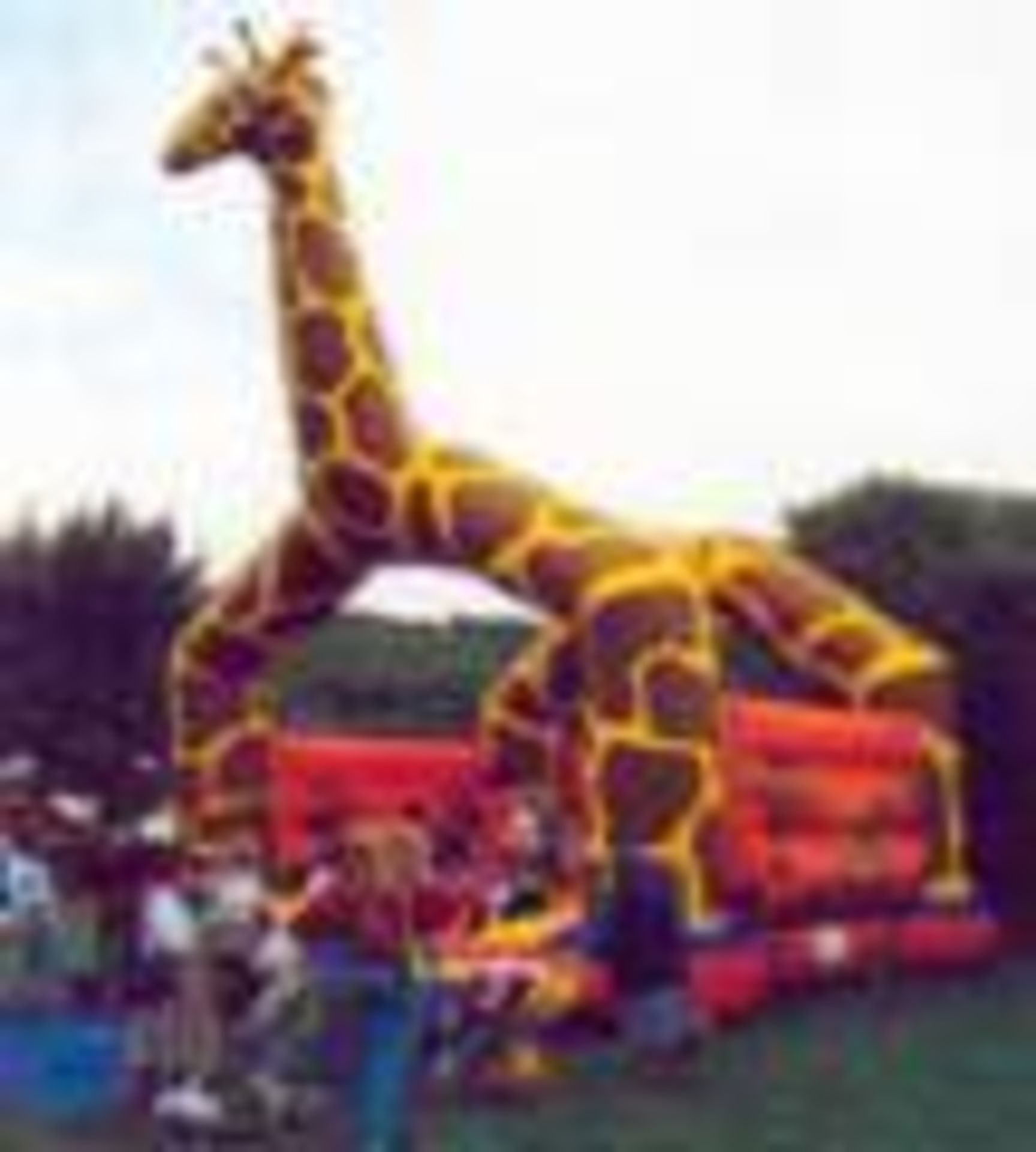 Giraffe Festival 20' x 23' Bounce w/ 1.1 HP blower