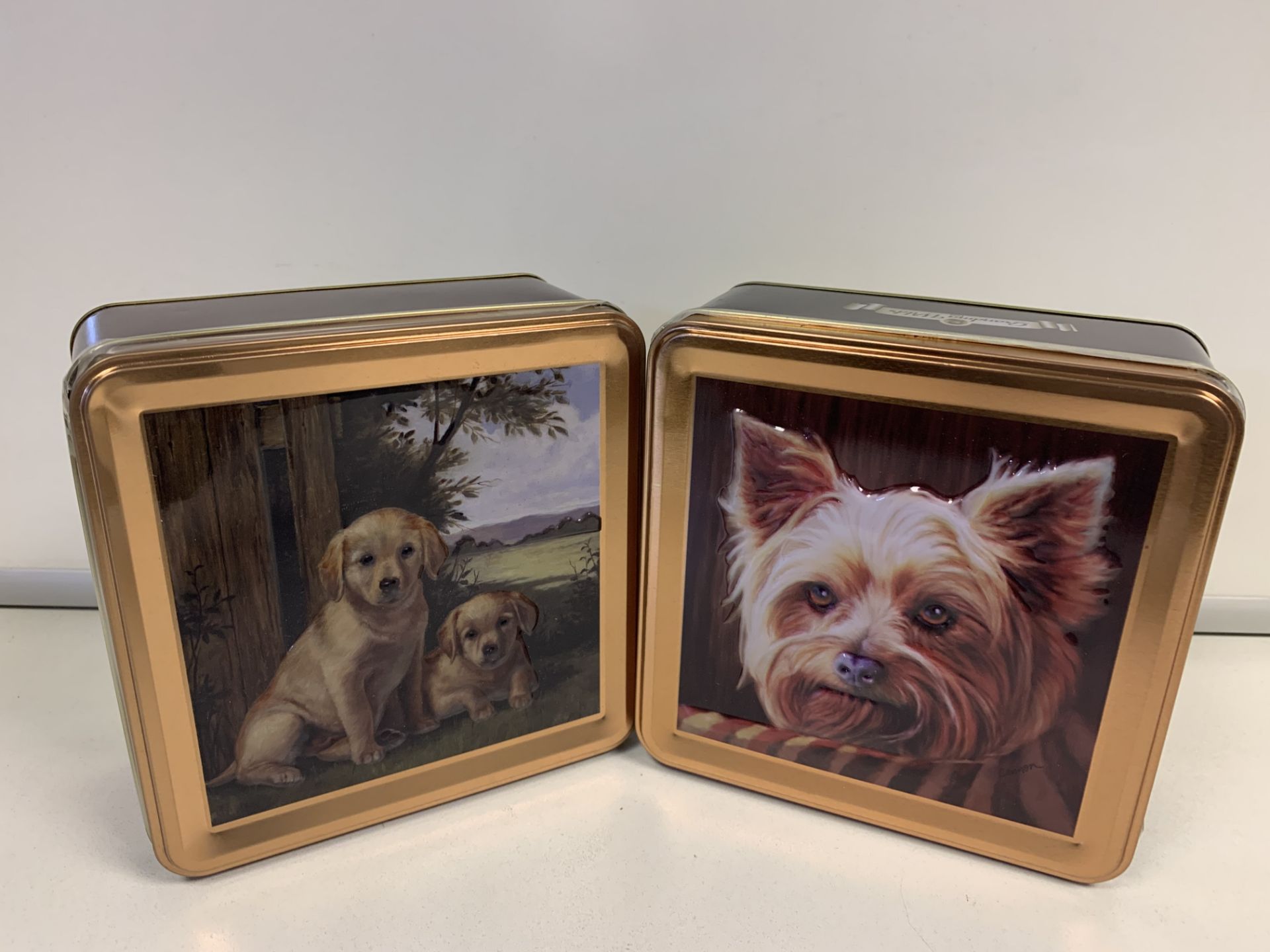 (NO VAT) 24 X BRAND NEW GRANDMA WILDS DOG DETAIL BUSCUITS TINS IN 4 BOXES BEST BEFORE DEC 2020