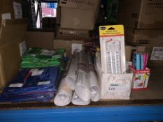 MIXED LOT CONTAINING REVERSIBLE PINNIES, MAGNET RESET THERMOMETERS, STABILO PENCILS, ETC