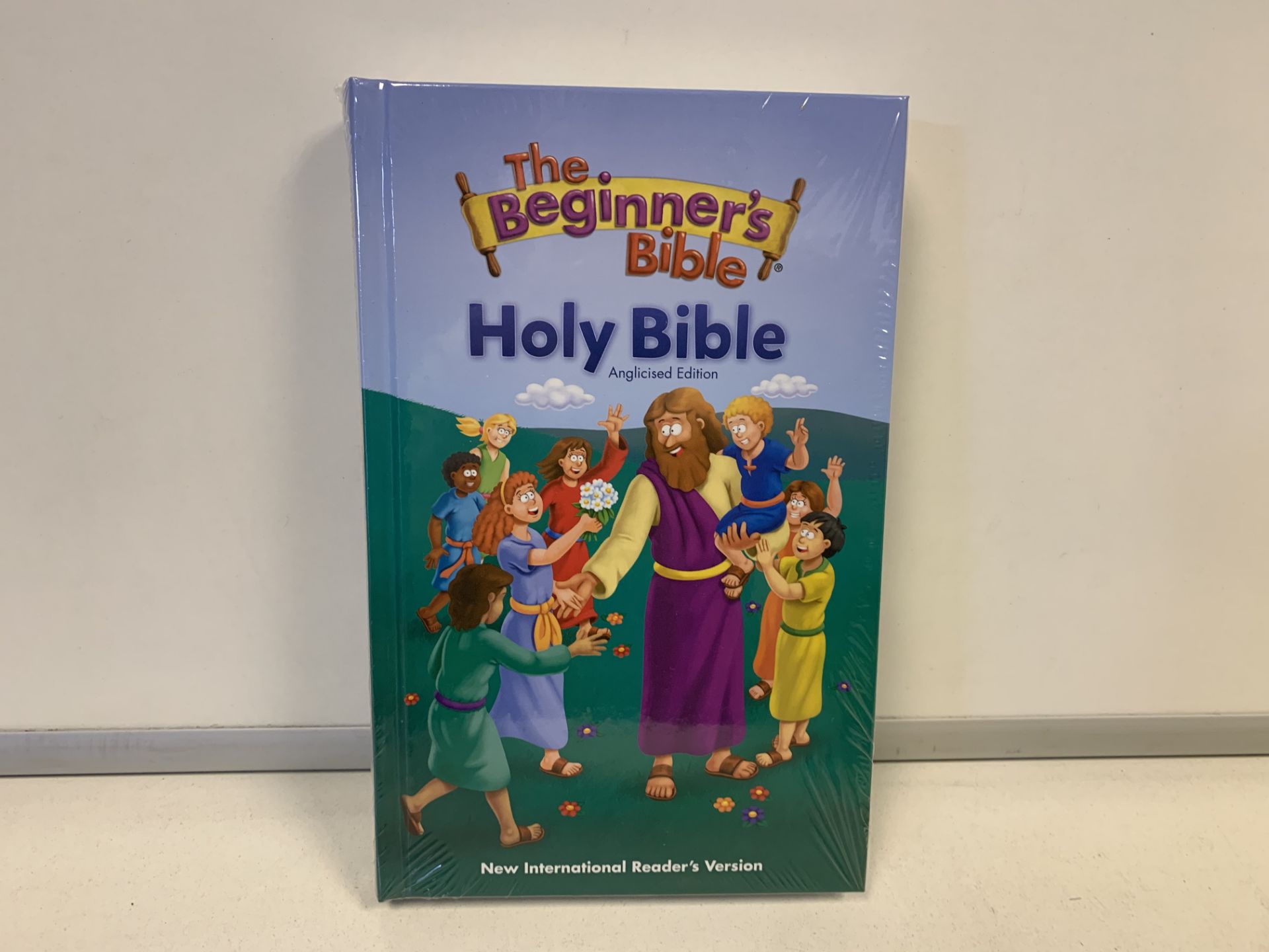 34 X BRAND NEW THE BEGINNERS BIBLE BOOKS RRP £15.99 EACH