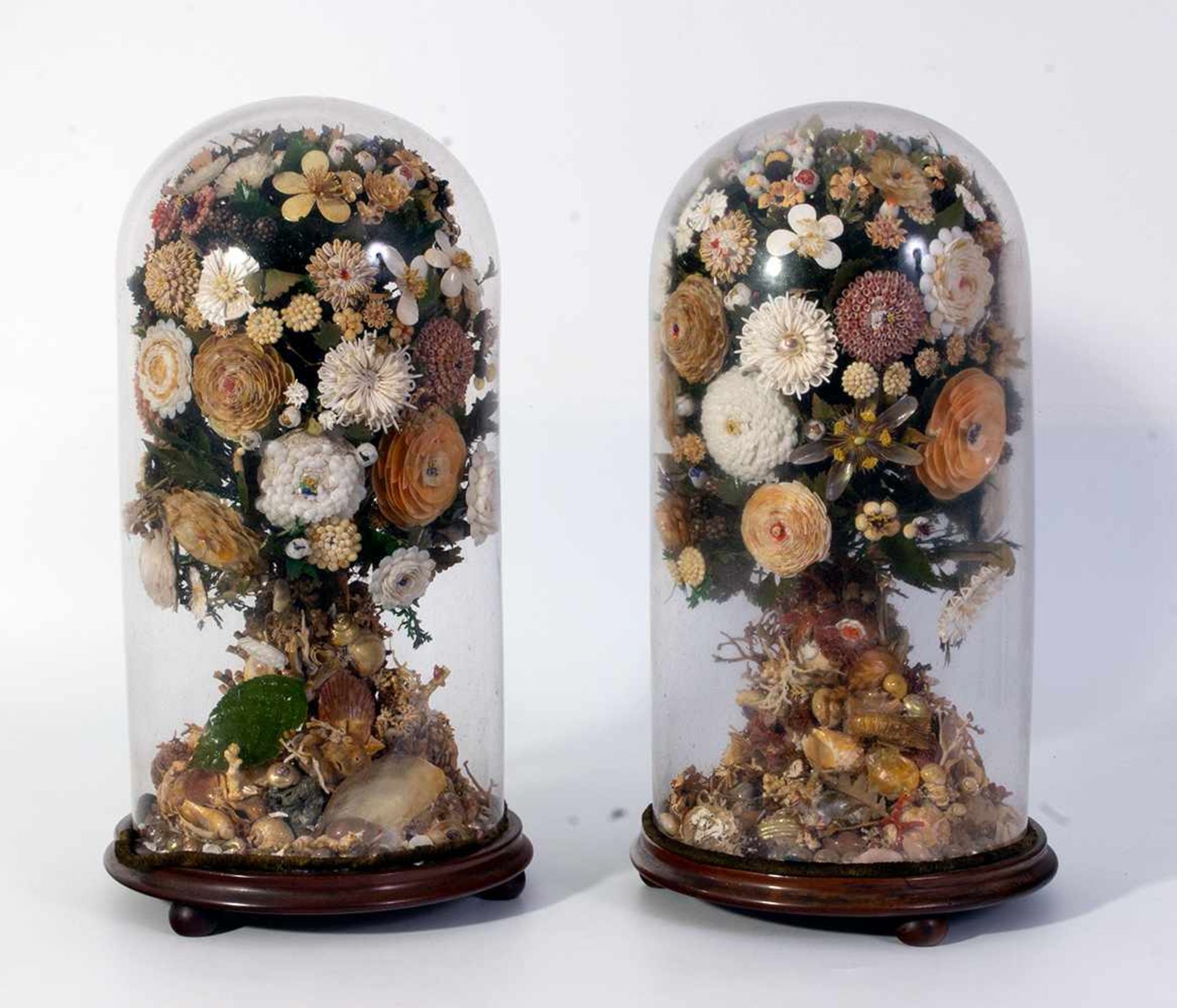 Pareja de floreros de conchas isabelinos con fanales en vidrio y base en madera. España, segunda m