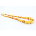 Vintage Graduated BUTTERSCOTCH AMBER NECKLACE, 60cm, Pin Tested (104g)