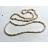 2 gold clasp pearl necklaces both clasps hallmarked 375 they measure approx 45cm and 41cm long pea