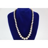 1950s Christian Dior graduated faux pearl single strand fancy clasp necklace, 49.5cm